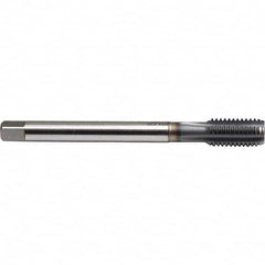 Emuge - M12x1.50 Metric Fine 6H 0 Flute TiCN Finish Powdered Metal Machine Tap - Americas Industrial Supply
