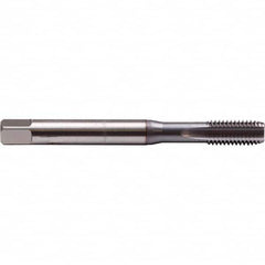 Emuge - 1/4-20 UNC 2B 3 Flute TiCN Finish Cobalt Machine Tap - Americas Industrial Supply