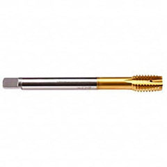 Emuge - M10x1.25 Metric Fine 6HX 4 Flute TiN Finish HSS-E Spiral Point Tap - Americas Industrial Supply