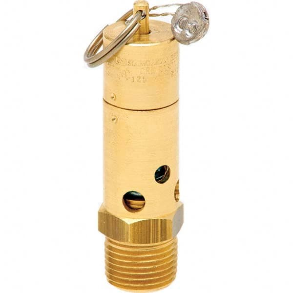 Control Devices - 1/2" Inlet, ASME Safety Valve - Americas Industrial Supply