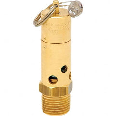 Control Devices - 1/2" Inlet, ASME Safety Valve - Americas Industrial Supply