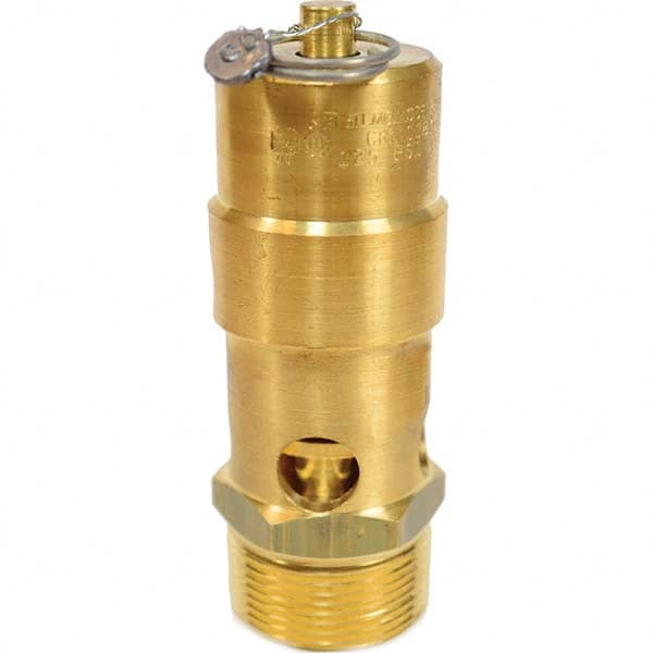 Control Devices - 1-1/4" Inlet, ASME Safety Valve - Americas Industrial Supply
