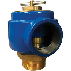 Control Devices - 2-1/2" Inlet, 2-1/2" Outlet, Noncode Safety Relief Valve - Americas Industrial Supply