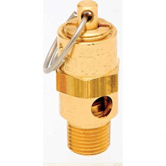 Control Devices - 1/8" Inlet, ASME Safety Valve - Americas Industrial Supply