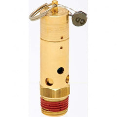 Control Devices - 1/2" Inlet, ASME Safety Valve - Americas Industrial Supply