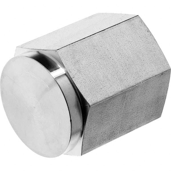 USA Sealing - 1/2" 316 Stainless Steel Pipe Hex Cap - Americas Industrial Supply