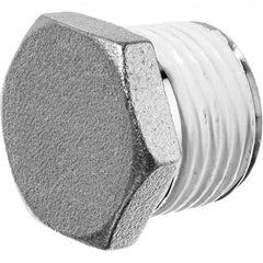 USA Sealing - 2" 304 Stainless Steel Pipe Hex Head Plug - Americas Industrial Supply