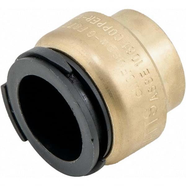 Watts - Metal Push-To-Connect Tube Fittings Type: End Stop Tube Outside Diameter (Inch): 0.75 - Americas Industrial Supply