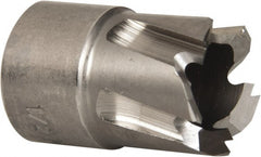 Hougen - 1/2" Diam x 1/4" Deep High Speed Steel Annular Cutter - Americas Industrial Supply