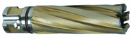 1-1/4 X 2 CARBIDE CUTTER - Americas Industrial Supply