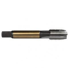 M12X1.75 2FL 6H CO SPPT PL TAP - Americas Industrial Supply