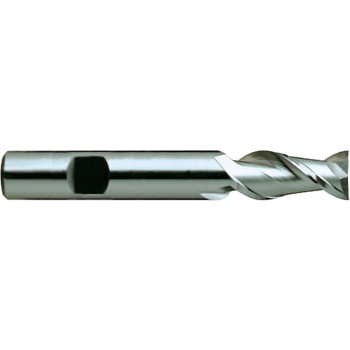 10 × 10 × 50 × 100 mm 2 Flute Square End Carbide End Mill-Plain Shank