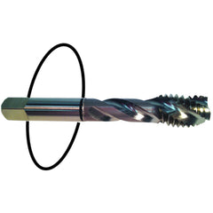 ‎8-32 Dia-H3-2 FL-Std Spiral Point Tap - Black Ring - Americas Industrial Supply