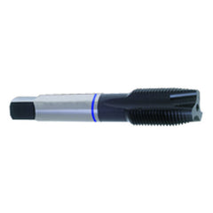 ‎3/4-10 Dia-H3-3 FL-Std Spiral Point Tap-Blue Ring - Americas Industrial Supply
