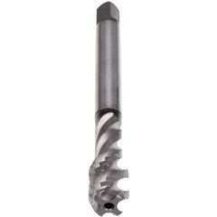 ‎3/4-16-ENORMZ-BOT GLT1-3B