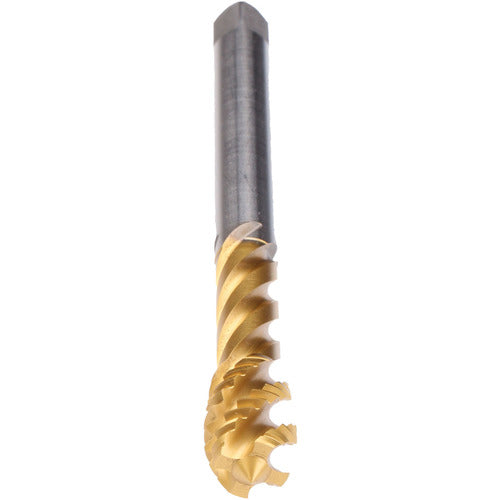 M16-TAP-ENORM Z-SPD-TIN60