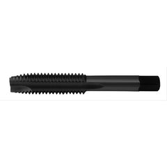 M6X1 3FL D11 SPPT PLG HSS