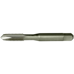 ‎1/4-20NC SP TAP H3 2FL PLG HSS