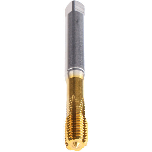 M24-TAP-H-IKZ-TIN-T26