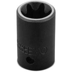 Proto 1/2″ Drive Torx Impact Socket - E20 - Americas Industrial Supply