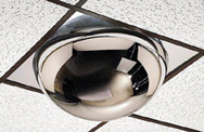22" Dome- 2x4' 360° Drop-In Ceiling Mount - Safety Mirror - Americas Industrial Supply