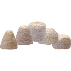 ‎2-1/2 ROUND END GOBLET BUFF - Americas Industrial Supply