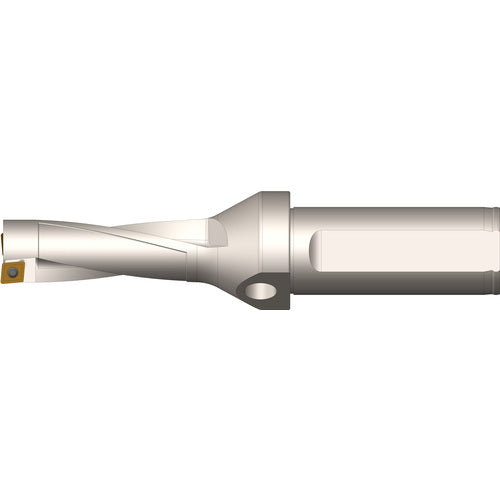 ‎PD1-0750-2D-100 - 3/4″ Dia. × 1″ Shank Size × 4.961″ OAL -  Patriot Indexable Drill