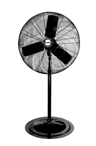 30" Pedestal Fan; 3-speed; 1/4 HP; 120V - Americas Industrial Supply