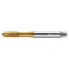 TC216-M10X1.5 6H WY80AA HS SPPT TAP - Americas Industrial Supply