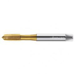 TC216-M10X1.5 6H WY80AA HS SPPT TAP - Americas Industrial Supply