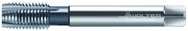 2026616-M16X2 6HX 4FL HSS SP PT TAP - Americas Industrial Supply