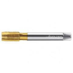 TC216-M16X2 6H WY80AA HS SP PT TAP - Americas Industrial Supply