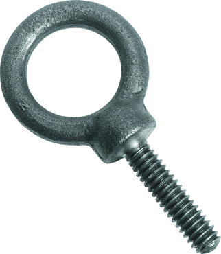 Protoå Forged Eye Bolt - 4" - Americas Industrial Supply