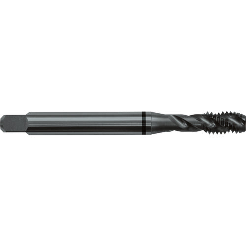 M5x0.8 D4 3 Flute Spiral Flute Semi-Bottoming Black Ring Tap-Steam Oxide - Americas Industrial Supply