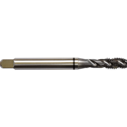 ‎1/4-28 H4 3 Flute Spiral Flute Semi-Bottoming Black Ring Tap-TICN - Americas Industrial Supply