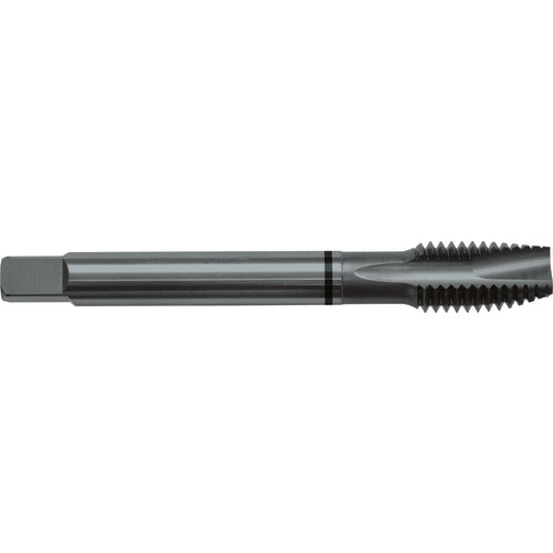 ‎8-32 H3 3 Flute Spiral Pointed Plug Black Ring Tap-Steam Oxide - Americas Industrial Supply