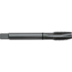 M5x0.8 D4 3 Flute Spiral Pointed Plug Black Ring Tap-Steam Oxide - Americas Industrial Supply