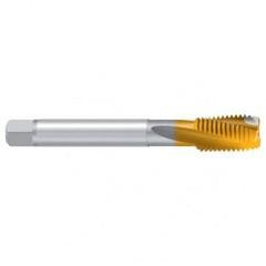 7/16–14 UNC–2B REK.2D TiN Sprial Flute Tap - Americas Industrial Supply