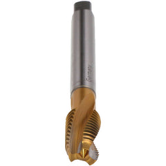 M24-TAP-REKORD DF-TIN
