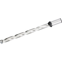 ‎SF20DRA170M12, DRA Magic Drill 17.00-17.99mm Cutting Diameter, 12xD, Replaceable Tip Drill