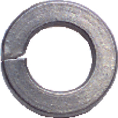 10 Bolt Size - Zinc Plated Carbon Steel - Lock Washer - Americas Industrial Supply