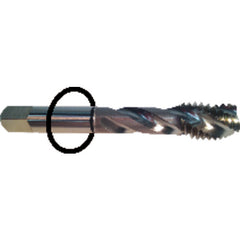 ‎10-24 Dia-H3-3 FL-Std Spiral FL Tap - Black Ring - Americas Industrial Supply