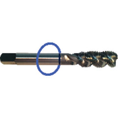 ‎M3 x .50 Dia-D3-2 FL- StdSpiral FL Tap - Blue Ring - Americas Industrial Supply