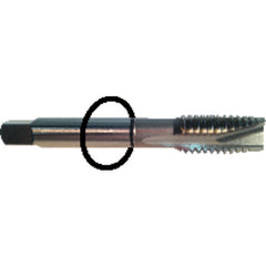‎6-32 Dia-H3-3 FL-Std Spiral Point Tap - Black Ring - Americas Industrial Supply