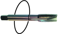 M12 x 1.75 Dia. - D6 - 3 FL - Std Spiral Point Tap - Black Ring - Americas Industrial Supply