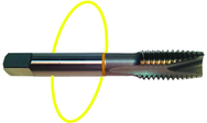 3/4-16 Dia. - H3 - 3 FL - Std Spiral Point Tap - Yellow Ring - Americas Industrial Supply