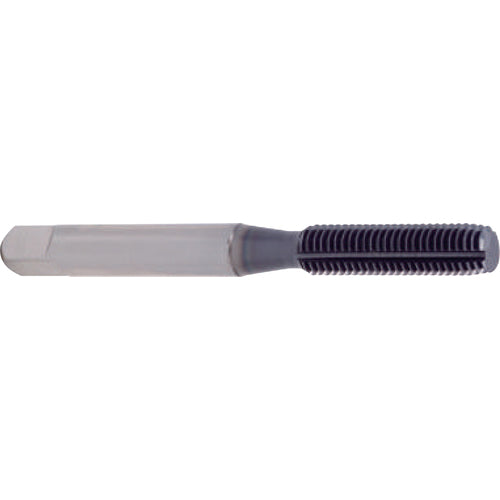 2 × 4 × 3 × 50 mm 2 Flute 0.3mm C/R Carbide End Mill-Plain Shank