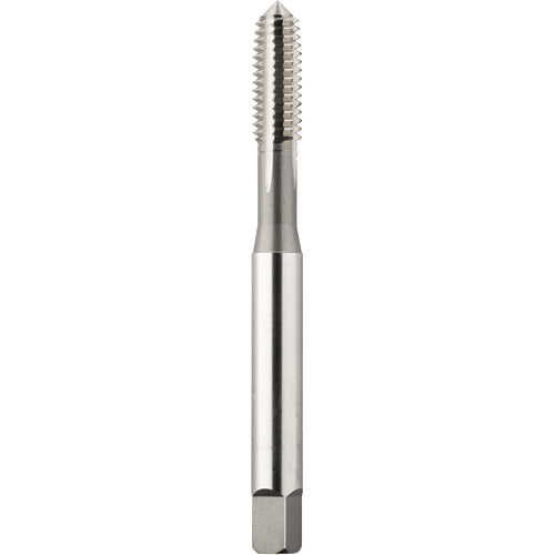 ‎2105 5/16-24 H10 FORM PLUG BRT - Exact Industrial Supply