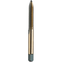 ‎1-64 S/P H1 2FL B/G - Americas Industrial Supply