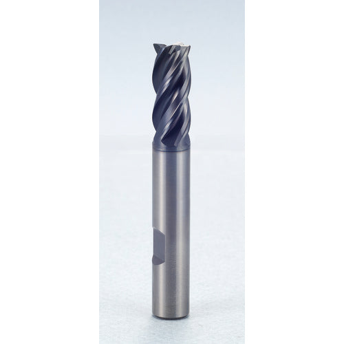 4 × 6 × 16 × 70 mm 2 Flute Square End Carbide End Mill-Plain Shank - Exact Industrial Supply